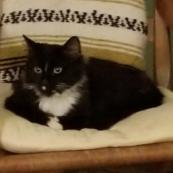 Meet your Posher, Lee - Picture 5 of 8